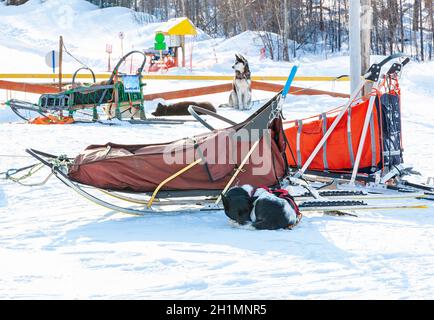 Sled utilizzato su niente uomo ghiacciaio per cane sledders Foto Stock