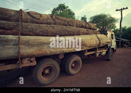 Un trasporto di legno tropicale nella foresta pluviale sull'altopiano di Bolaven vicino alla città di Pakse nella provincia di Champasak in Lao, nel sud di Lao. L Foto Stock