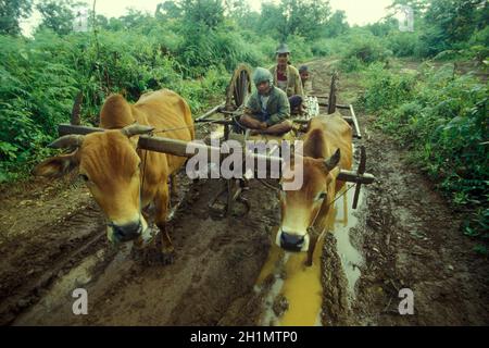 Una strada nella foresta pluviale sull'Altopiano Bolaven vicino alla città di Pakse nella provincia di Champasak in Lao, nel sud di Lao. Lao, Pakse, luglio 1996 Foto Stock