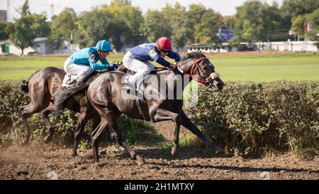 ROSTOV-ON-DON, RUSSIA-SETTEMBRE 22 - Riders in galopping a cavallo a tutta velocità a Rostov-on-Don il 22 Settembre 2013 a Rostov-on-Don Foto Stock