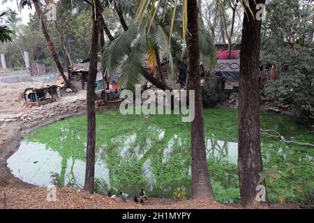 Kumrokhali villaggio nel Bengala occidentale, India Foto Stock