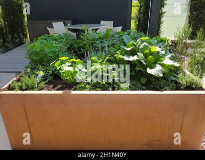 Hochbeet, Kraeuter, Gemuese Foto Stock