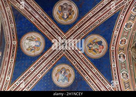 Soffitto della cappella Baroncelli nel transetto di destra della Basilica di Santa Croce (Basilica di Santa Croce) - la famosa chiesa francescana di Firenze, Italia Foto Stock