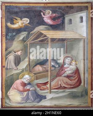 Natività di Gesù, affreschi di Taddeo Gaddi (1295-1366), Bandini Baroncelli cappella nella basilica di Santa Croce (Basilica di Santa Croce) - famoso Foto Stock