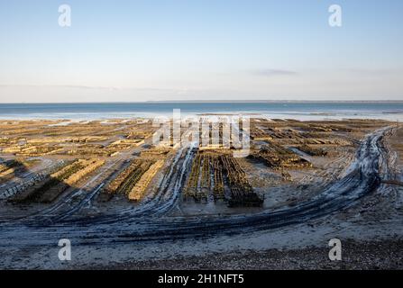 Ostriche a bassa marea in oyster farm, Cancale, Bretagna Francia Foto Stock