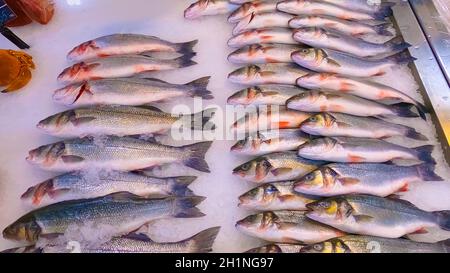 Pesce fresco sibas su ghiaccio in negozio astratto o mercato Foto Stock