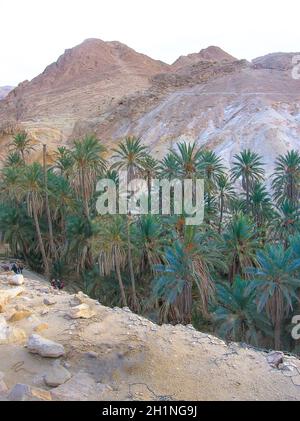 Oasi di montagna Chebika alla frontiera del Sahara in Tunisia, Africa Foto Stock