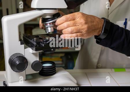 Lezione di biologia. L'insegnante usa un microscopio ottico per svolgere la sua lezione. Foto Stock