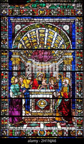 La presentazione di Gesù al tempio, vetrata di Santa Maria Novella principale chiesa domenicana di Firenze, Italia Foto Stock