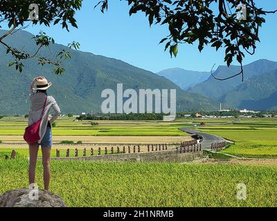 La vista panoramica del bellissimo Paddy Field con Alba a Brown Avenue, Chishang, Taitung, Taiwan Foto Stock