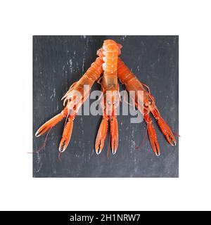 Tre scampi scampi scampi scampi scampi di scampi di scampi di scampi di scampi di scampo della baia di Dublino Foto Stock