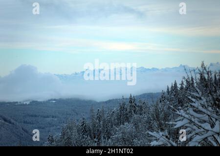 Themenbild - Wintereinbruch im Schwarzwald - Blick vom Feldberg über die Nebelschwaden des Rheintals hinüber zur Schweizer Bergwelt Foto Stock