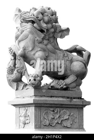 Imperiale cinese statua Lion su sfondo bianco Foto Stock