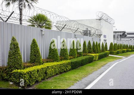 Zinco Fence Barb alta sicurezza Foto Stock