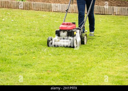 Una donna mows il suo prato verde in estate Foto Stock