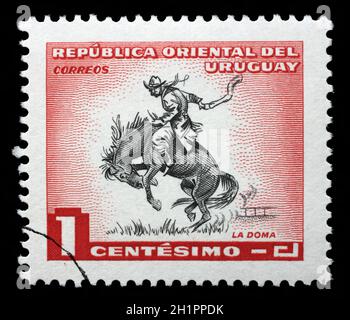 Timbro stampato in Uruguay mostra addomesticare un cavallo, 1954 circa. Foto Stock