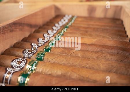 Un close-up di una scatola di aprire eagle Montecristo sigaro cubano Foto Stock