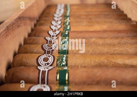 Un close-up di una scatola di aprire eagle Montecristo sigaro cubano Foto Stock