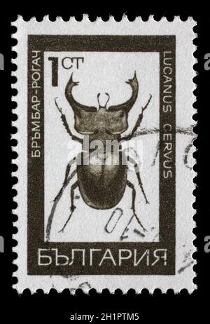 Timbro stampato in Bulgaria mostra immagine di un lucanus cervus, circa 1975 Foto Stock