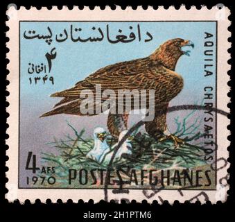 Timbro stampato in Afghanistan mostra Aquila reale (Aquila chrysaetos), circa 1970 Foto Stock