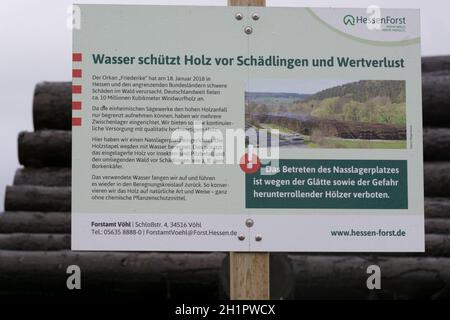 BAD WILDUNGEN, HESSEN, GERMANIA - OKTOBER 30, 2018: Attività di cantiere in legno. Legno accatastato all'esterno. Concetto di ambiente di industria forestale. Tronchi di albero abbattuto Foto Stock