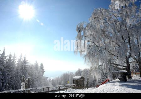 Winterwonderland auf dem Grünberg (Gmunden, Salzkammergut, Oberösterreich, Österreich) - Winter Wonderland sul Grünberg (Gmunden, Salzkammergut, Up Foto Stock