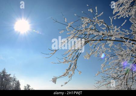 Winterwonderland auf dem Grünberg (Gmunden, Salzkammergut, Oberösterreich, Österreich) - Winter Wonderland sul Grünberg (Gmunden, Salzkammergut, Up Foto Stock