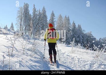 Winterwonderland auf dem Grünberg (Gmunden, Salzkammergut, Oberösterreich, Österreich) - Winter Wonderland sul Grünberg (Gmunden, Salzkammergut, Up Foto Stock