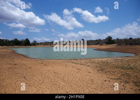 Kilifi, Kenya. 7 ottobre 2021. La coppa dell'acqua di Ngite, una delle rimanenti, che serve 4 divisioni nel villaggio di Vitengeni, una delle aree colpite dalla siccità. I residenti di Kilifi, Lamu e Tana River insieme al loro bestiame nella regione costiera del Kenya stanno affrontando la fame a causa della siccità in corso. Il mese scorso, il presidente Uhuru Kenyatta ha dichiarato la siccità un ''disastro nazionale'' e ha ordinato l'immediato rilascio di cibo di soccorso per le vittime che il governo ha iniziato a distribuire la scorsa settimana. (Credit Image: © Bonifacio Muthoni/SOPA Images via ZUMA Press Wire) Foto Stock