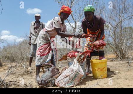 Kilifi, Kenya. 7 ottobre 2021. Le donne condividono e confezionate la carne dopo la macellazione di una mucca che era debole e che sta per morire a causa della siccità situation.Residents di Kilifi, Lamu, e Tana River con il loro bestiame nella regione costiera del Kenya stanno affrontando la fame a causa della siccità in corso. Il mese scorso, il presidente Uhuru Kenyatta ha dichiarato la siccità un ''disastro nazionale'' e ha ordinato l'immediato rilascio di cibo di soccorso per le vittime che il governo ha iniziato a distribuire la scorsa settimana. (Credit Image: © Bonifacio Muthoni/SOPA Images via ZUMA Press Wire) Foto Stock