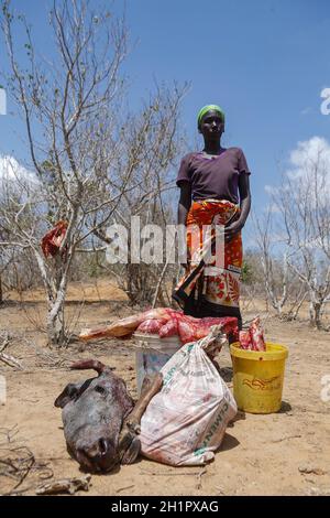 Kilifi, Kenya. 7 ottobre 2021. Una donna si trova accanto alla carne di una mucca macellata che era troppo debole e morì a causa della fame.i residenti di Kilifi, Lamu e Tana River insieme al loro bestiame nella regione costiera del Kenya stanno affrontando la fame a causa della siccità in corso. Il mese scorso, il presidente Uhuru Kenyatta ha dichiarato la siccità un ''disastro nazionale'' e ha ordinato l'immediato rilascio di cibo di soccorso per le vittime che il governo ha iniziato a distribuire la scorsa settimana. (Credit Image: © Bonifacio Muthoni/SOPA Images via ZUMA Press Wire) Foto Stock