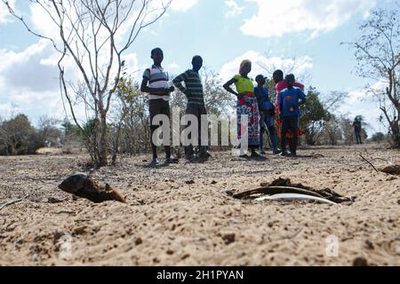 Kilifi, Kenya. 7 ottobre 2021. Una famiglia guarda la carcassa di bestiame nel villaggio di Mideteni una delle aree colpite dalla siccità. I residenti di Kilifi, Lamu e Tana River insieme al loro bestiame nella regione costiera del Kenya stanno affrontando la fame a causa della siccità in corso. Il mese scorso, il presidente Uhuru Kenyatta ha dichiarato la siccità un ''disastro nazionale'' e ha ordinato l'immediato rilascio di cibo di soccorso per le vittime che il governo ha iniziato a distribuire la scorsa settimana. (Credit Image: © Bonifacio Muthoni/SOPA Images via ZUMA Press Wire) Foto Stock