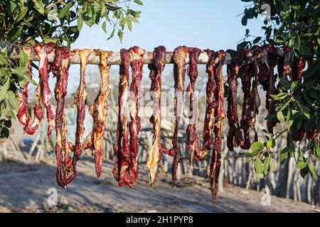 Kilifi, Kenya. 7 ottobre 2021. Strisce di carne da una mucca macellata sono appese su un ramo di albero sotto il sole per asciugare come un metodo conservante.residenti di Kilifi, Lamu, e fiume Tana con il loro bestiame nella regione costiera del Kenya stanno affrontando la fame a causa della siccità in corso. Il mese scorso, il presidente Uhuru Kenyatta ha dichiarato la siccità un ''disastro nazionale'' e ha ordinato l'immediato rilascio di cibo di soccorso per le vittime che il governo ha iniziato a distribuire la scorsa settimana. (Credit Image: © Bonifacio Muthoni/SOPA Images via ZUMA Press Wire) Foto Stock