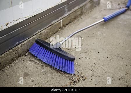 Particolare di pulizia e cura dell'auto, igiene e brillantezza Foto Stock