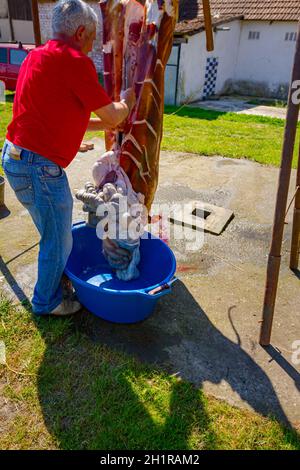 Il macellaio rimuove gli intestini, le frattaglie dalle caraffe del maiale con un coltello e li mette in una grande ciotola di plastica, lavorazione della carne al macelleria all'aperto. Foto Stock