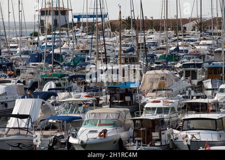 Barche a riposo nella marina Foto Stock