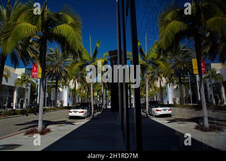 Palm Trees and window reflection, Rodeo Drive, strada dello shopping di lusso a Beverly Hills, Los Angeles, California, USA Foto Stock