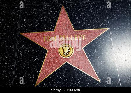 Tom Selleck star on Walk of Fame, Hollywood Boulevard, Hollywood, Los Angeles, California, USA. Foto Stock