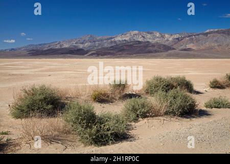 Fango essiccato in salina, Panamint Valley, e Argus gamma, Parco Nazionale della Valle della Morte, Deserto Mojave, CALIFORNIA, STATI UNITI D'AMERICA Foto Stock