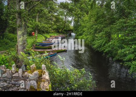 Barche a remi o barche a motore ormeggiate in fila su uno stretto canale circondato da lussureggianti alberi verdi vicino a Lough Leane, Ring of Kerry, Killarney, Irlanda Foto Stock