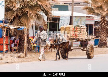 Azezo, Regione di Amhara, Etiopia - 22 aprile 2019: Uomo etiope con una carrozza trainata da cavalli sulla strada. Città Azezo, Etiopia, Africa Foto Stock