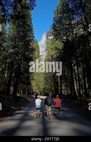 People on Mirror Lake Trail, Tenaya Canyon, Yosemite National Park, California, Stati Uniti. Foto Stock