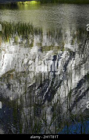 A nord-ovest di fronte di Half Dome, riflesso nel Mirror Lake, il Parco Nazionale Yosemite in California, Stati Uniti d'America Foto Stock