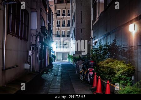 Vista notturna sul vicolo di Chuo-ku, Tokyo. Luogo di tiro: Area metropolitana di Tokyo Foto Stock