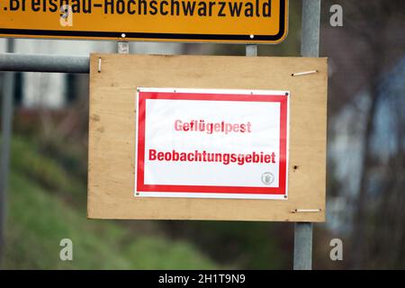 Die Geflügelpest breitet sich in Südbaden weiter aus. So hat das Landratsamt Breisgau Hochschwarzwald und die Stadtverwaltung eine neue Allgemeinverfü Foto Stock