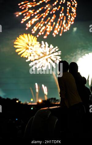 Fuochi d'artificio sul fiume Tama (2018). Luogo di ripresa: Area metropolitana di Tokyo Foto Stock