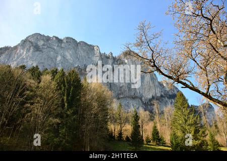 Drachenwand in Sankt Lorenz bei Mondsee, Oberösterreich, Salisburgo, Österreich, Europa - Drachenwand in Sankt Lorenz vicino Mondsee, Austria superiore, Salzb Foto Stock