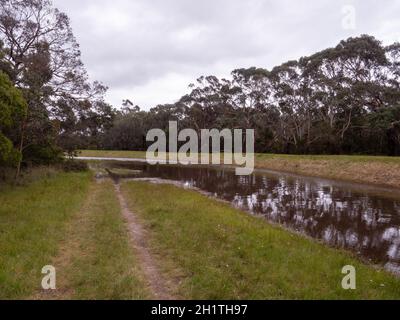 Scarico completo dopo forti piogge primaverili alla riserva naturale Devilbend sulla penisola di Mornington, Victoria, Australia. Foto Stock