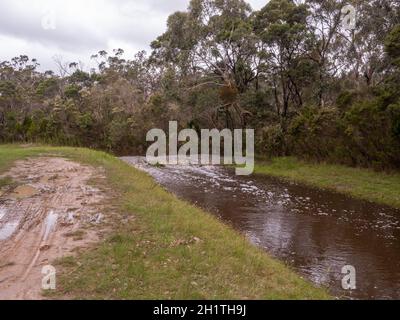 Scarico completo dopo forti piogge primaverili alla riserva naturale Devilbend sulla penisola di Mornington, Victoria, Australia. Foto Stock