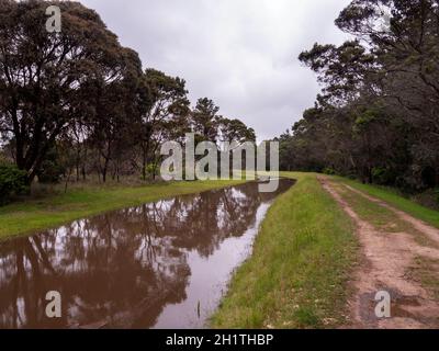 Scarico completo dopo forti piogge primaverili alla riserva naturale Devilbend sulla penisola di Mornington, Victoria, Australia. Foto Stock